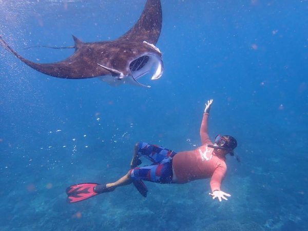 Snorkeling Water Sport Bali