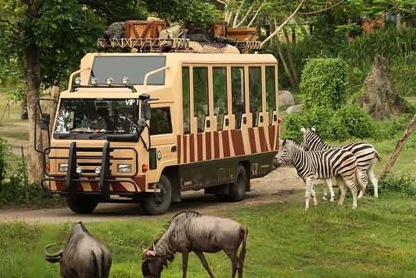 PAKET TOUR BALI 4D3N BALI SAFARI AND MARINE PARK