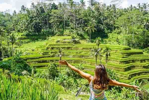 PAKET TOUR BALI 4D3N TEGALALANG RICE TERRACE